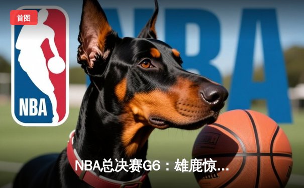 NBA总决赛G6：雄鹿惊天逆转夺冠 字母哥50分创历史